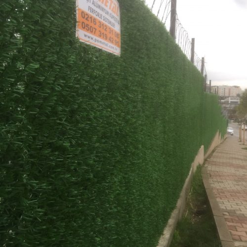 Okul Duvarlarına Çimenli Çit