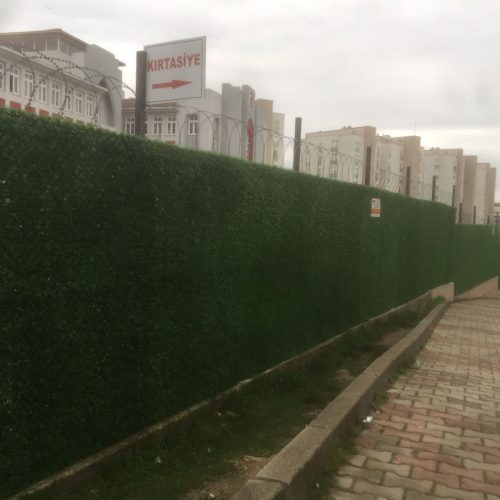 Okul Duvarlarına Çimenli Çit