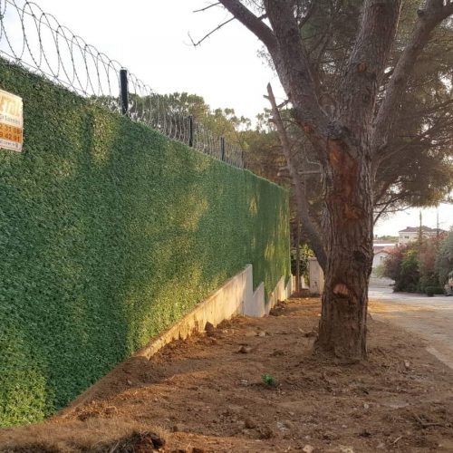 Kartal Dragos Çimenli Çim Çit Uygulaması